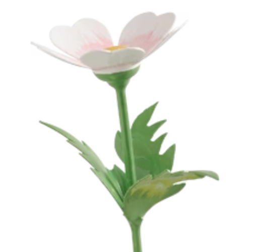 Anemone for Girl with Anemone