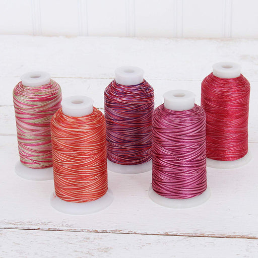Ciieeo 5 Rolls Polyester Thread for Sewing Machines Variegated Embroidery  Thread red Embroidery Thread Rainbow Color Reflective Glitter Thread White