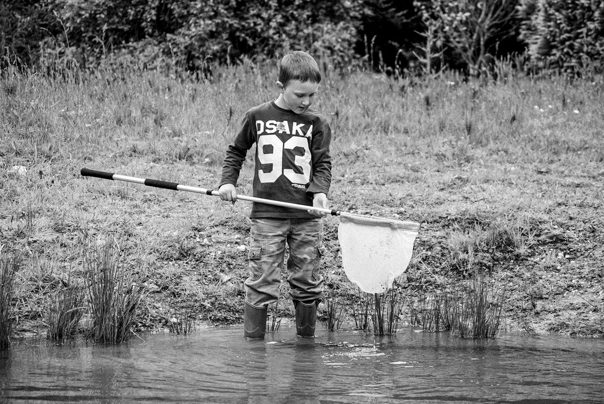 Pond Dipping