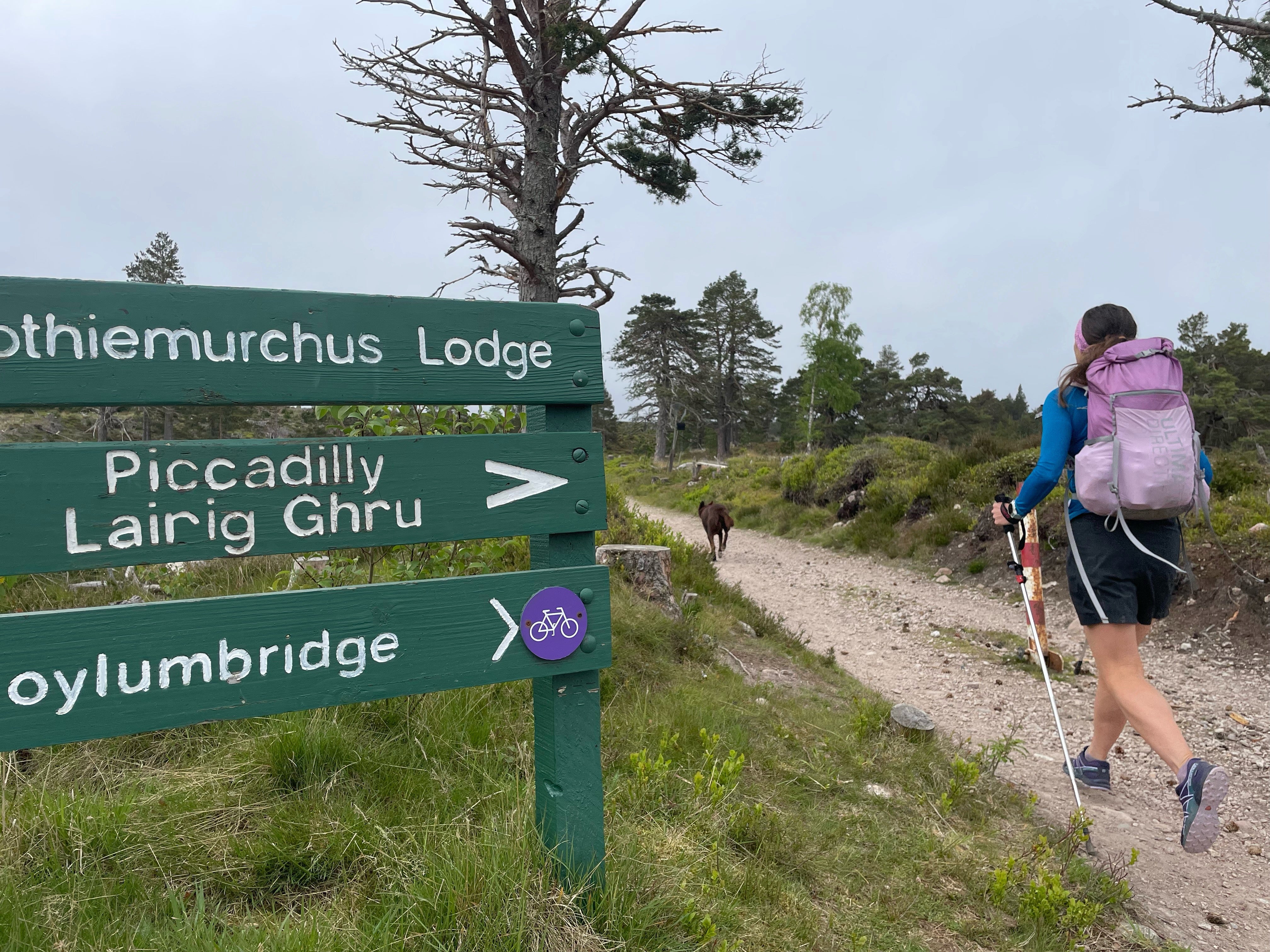 setting off on their adventure past a sign post for the route