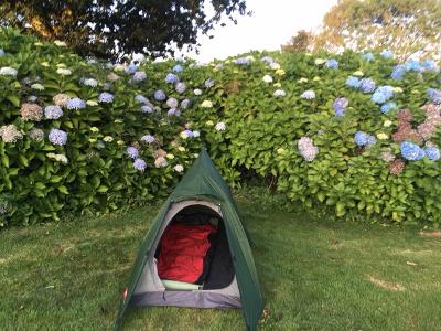 Soloist bivvy tent pitched in a garden