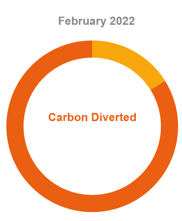 carbon report