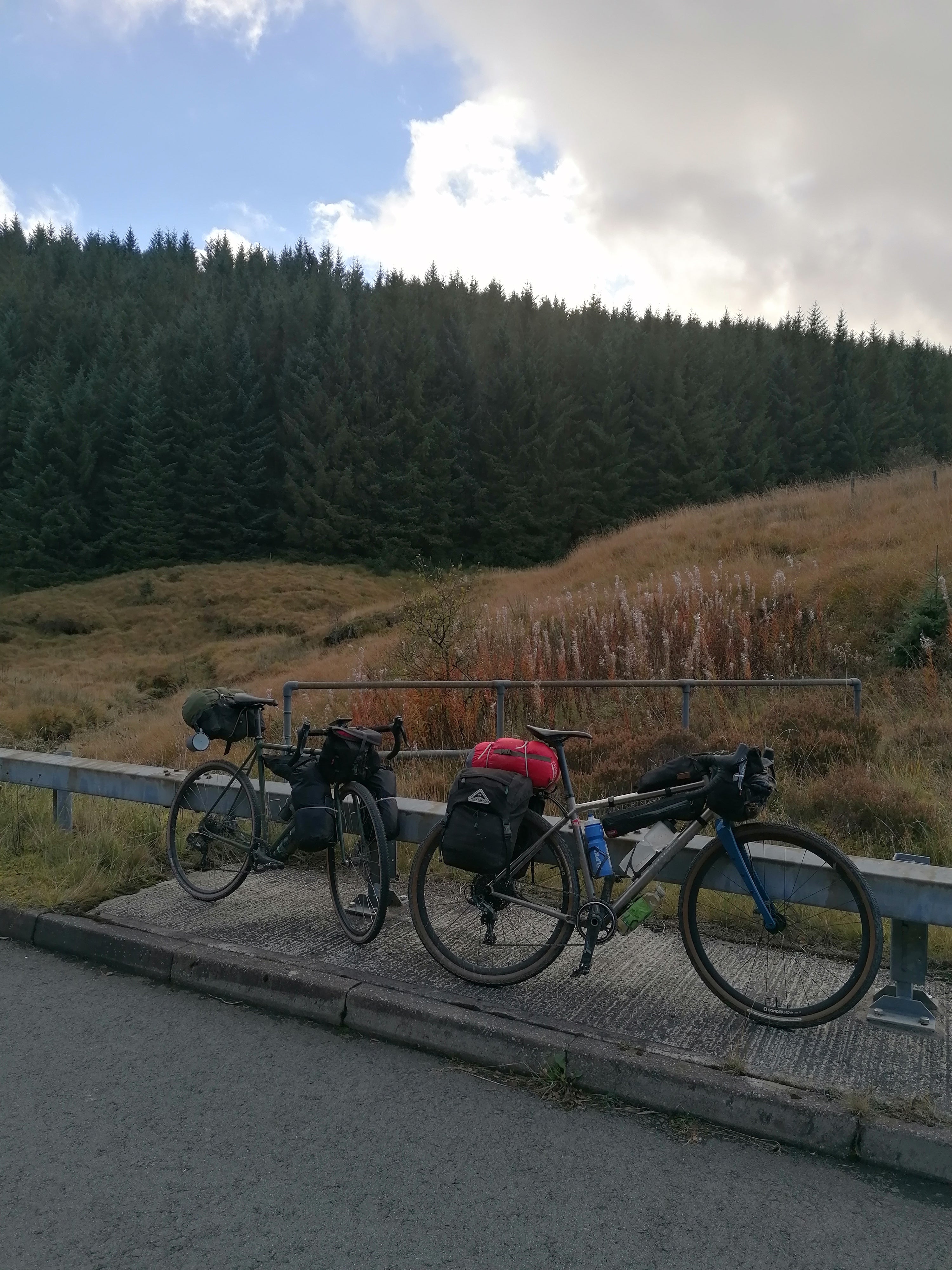 Two gravel bikes set up with forest in the background