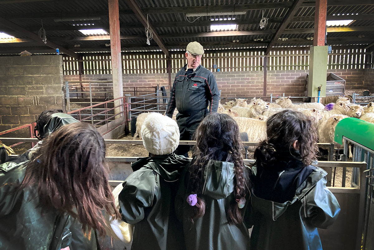 School visit to the farm