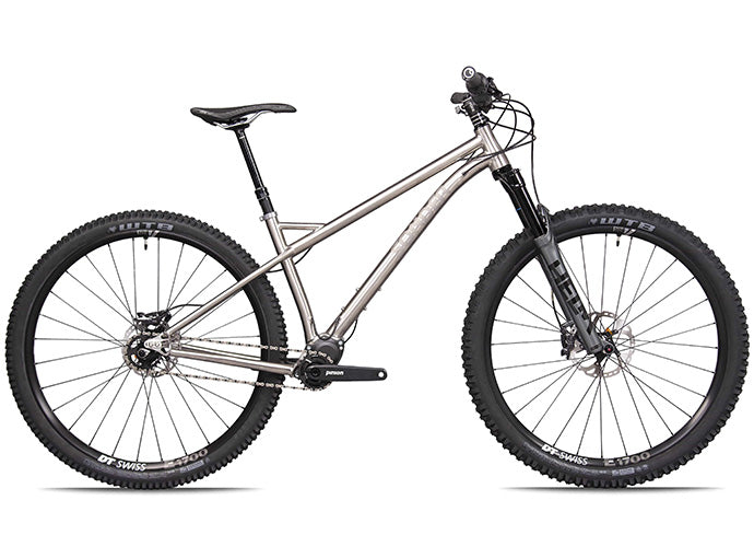 titanium 29er hardtail frame