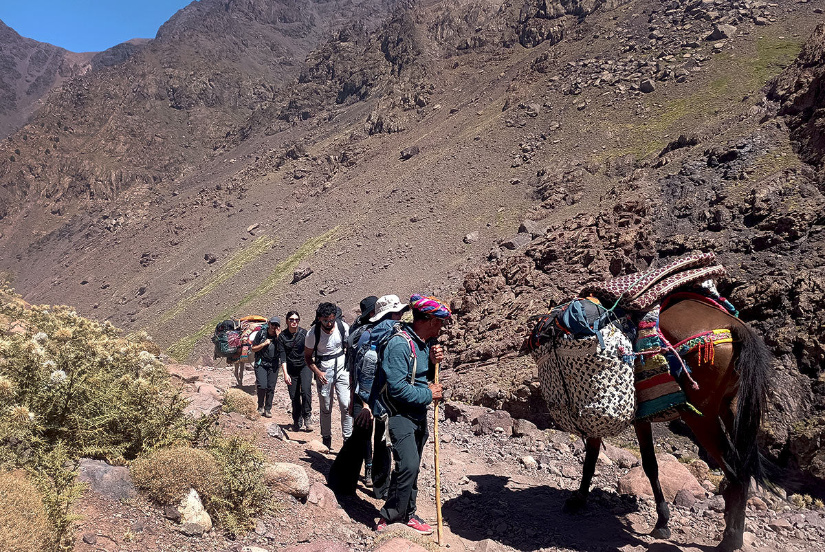 Trekkers following a mule up path in Morrocco