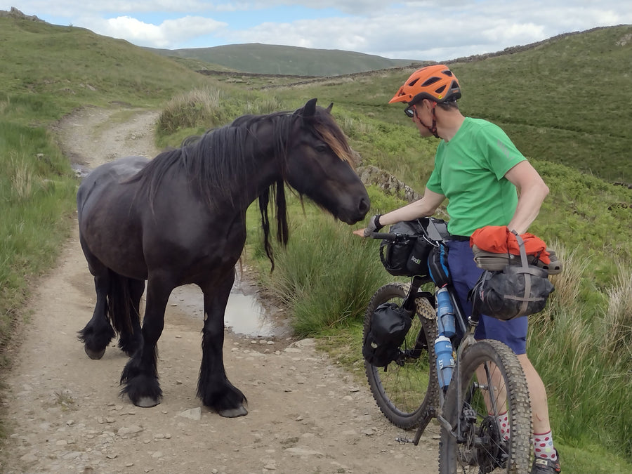 cyclist with a horse
