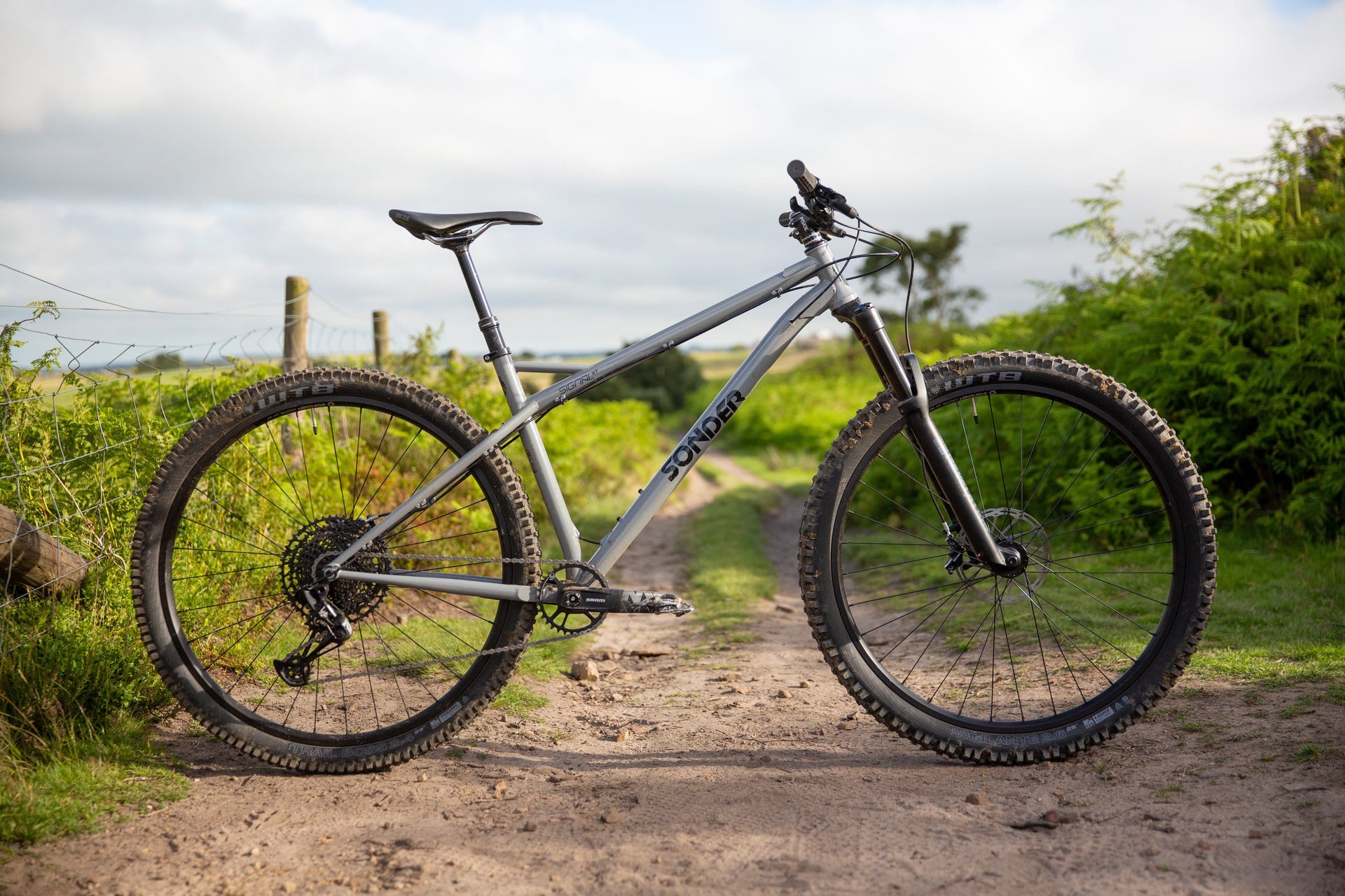 steel 29er hardtail