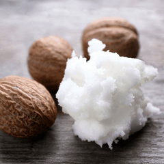 Shea butter and the shea nut close up