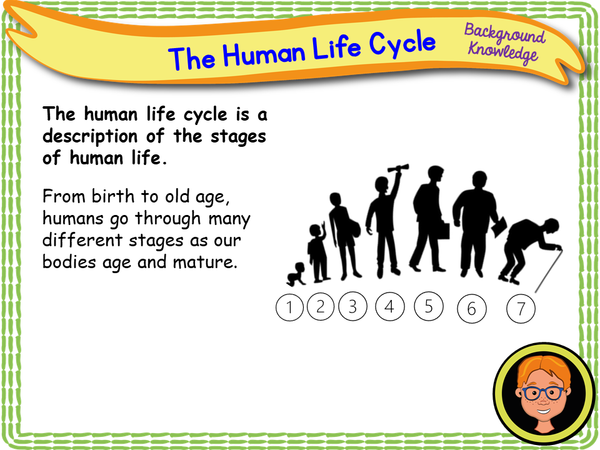 The Human Life Cycle - KS1/Year 2 – EC Publishing