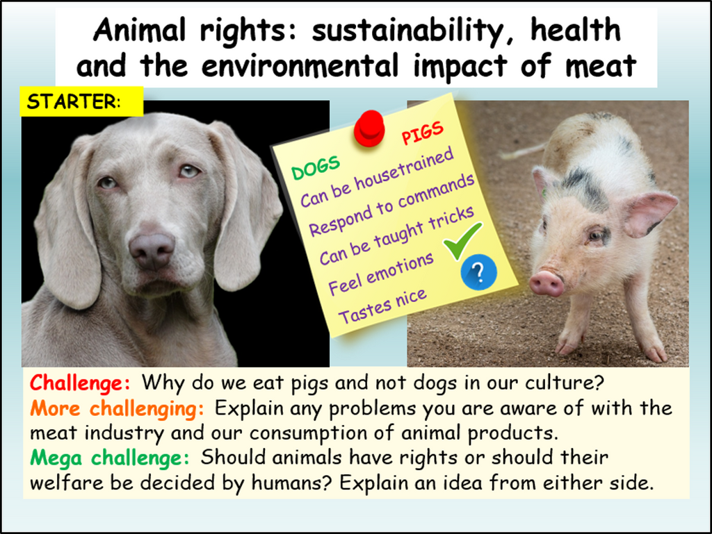 Animal Rights Lesson – EC Publishing