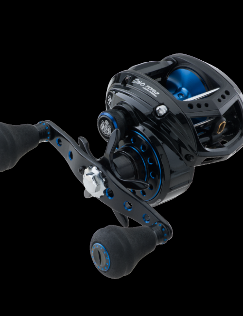 abu garcia revo beast