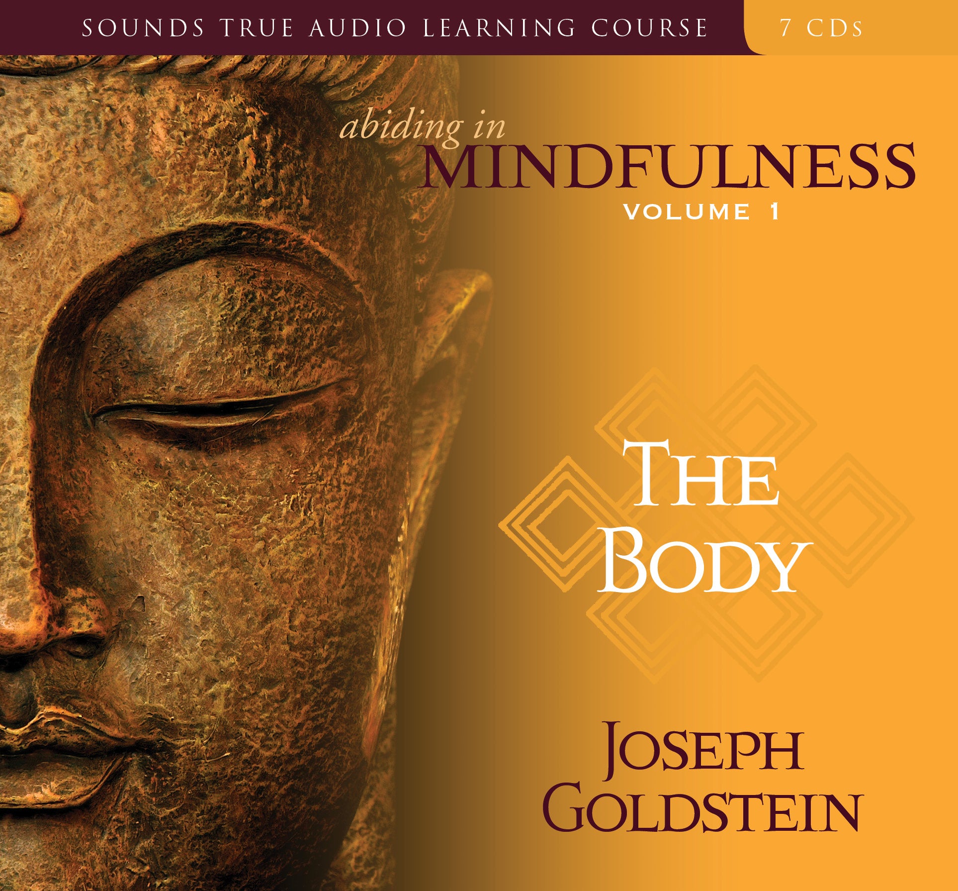Abiding in Mindfulness Volume 1