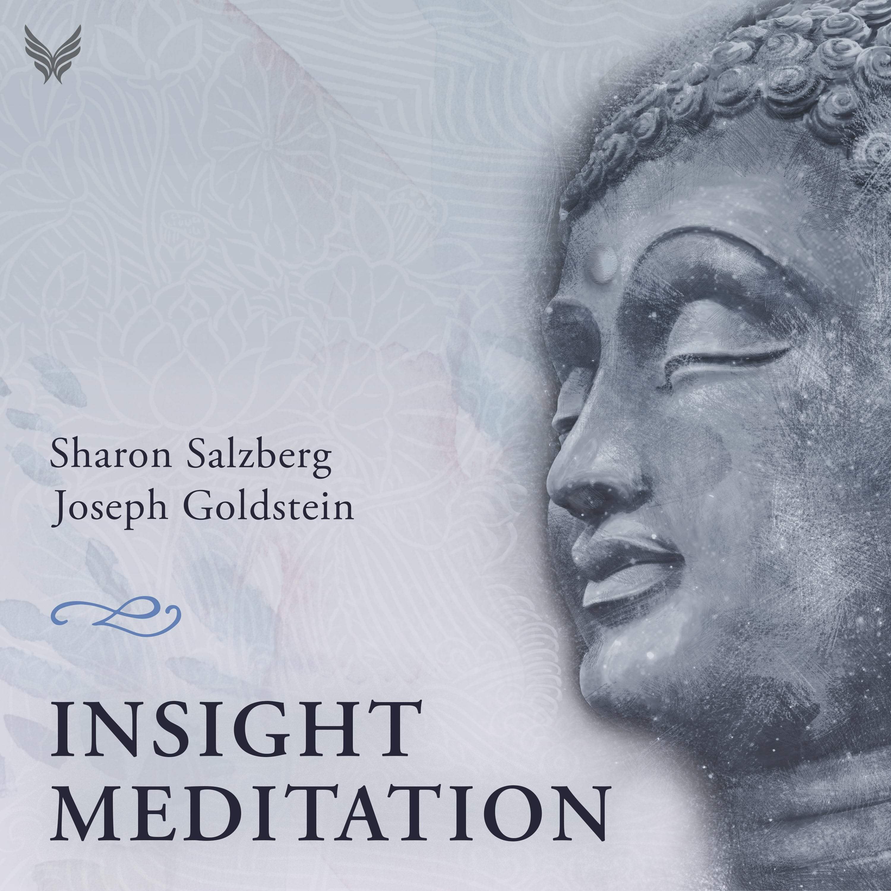 Insight Meditation