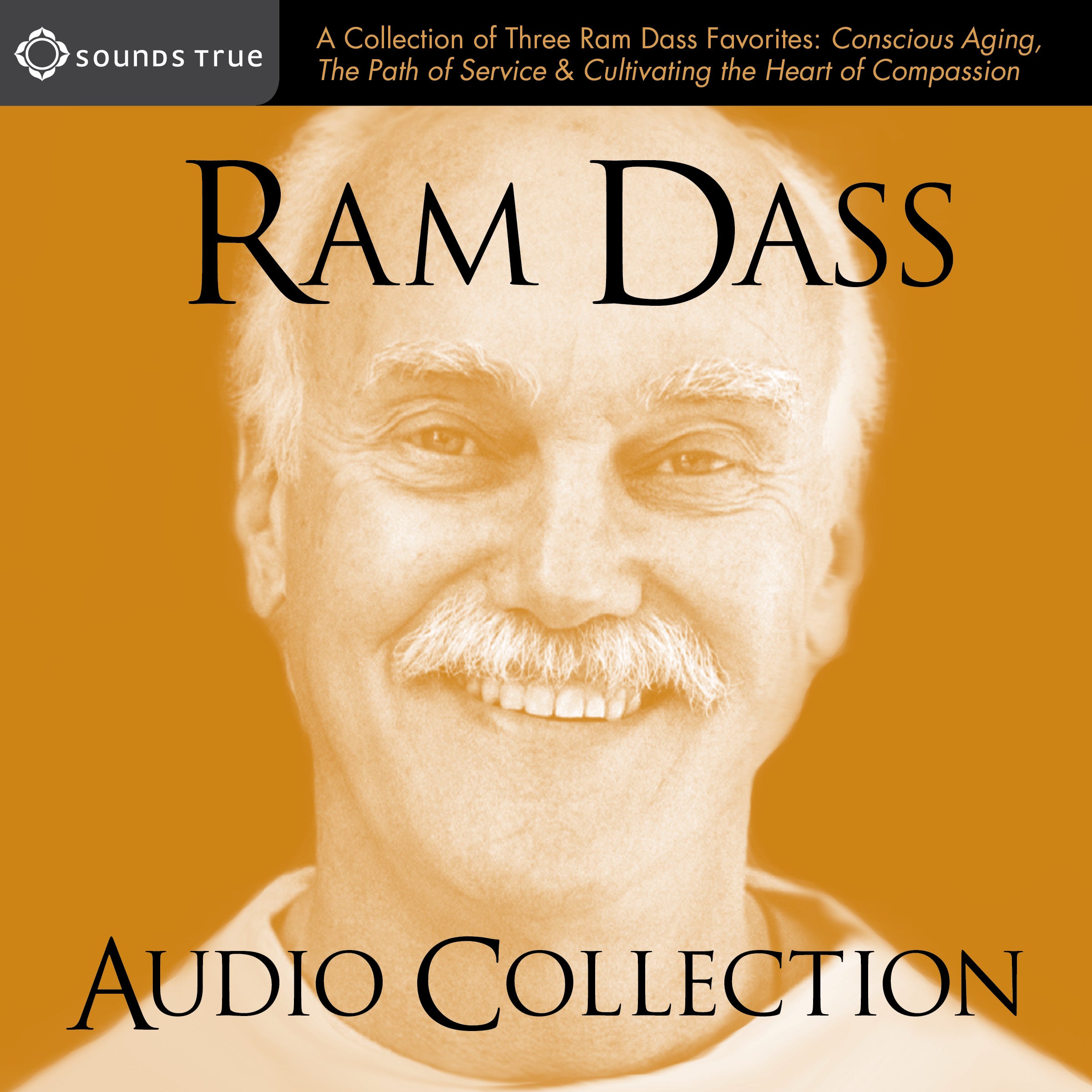 The Ram Dass Audio Collection