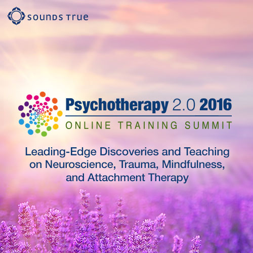 Psychotherapy 2.0 2016