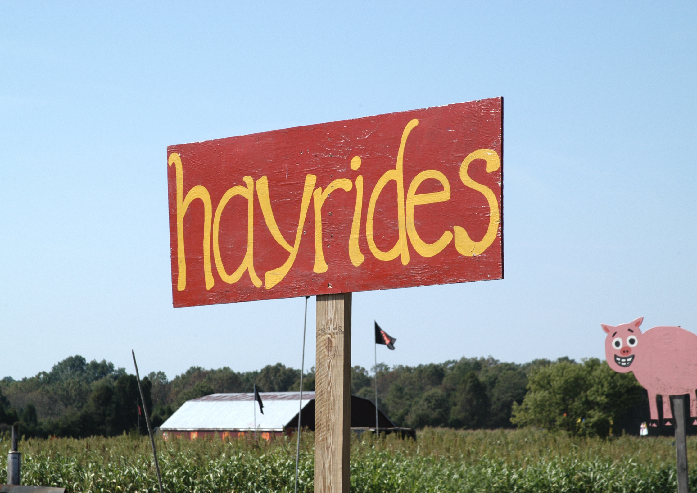 A red sign painted with the word: hayrides in a field.