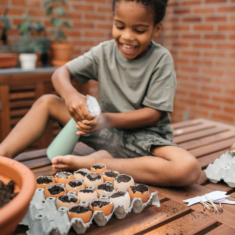 Small kid planting an egg carton garden