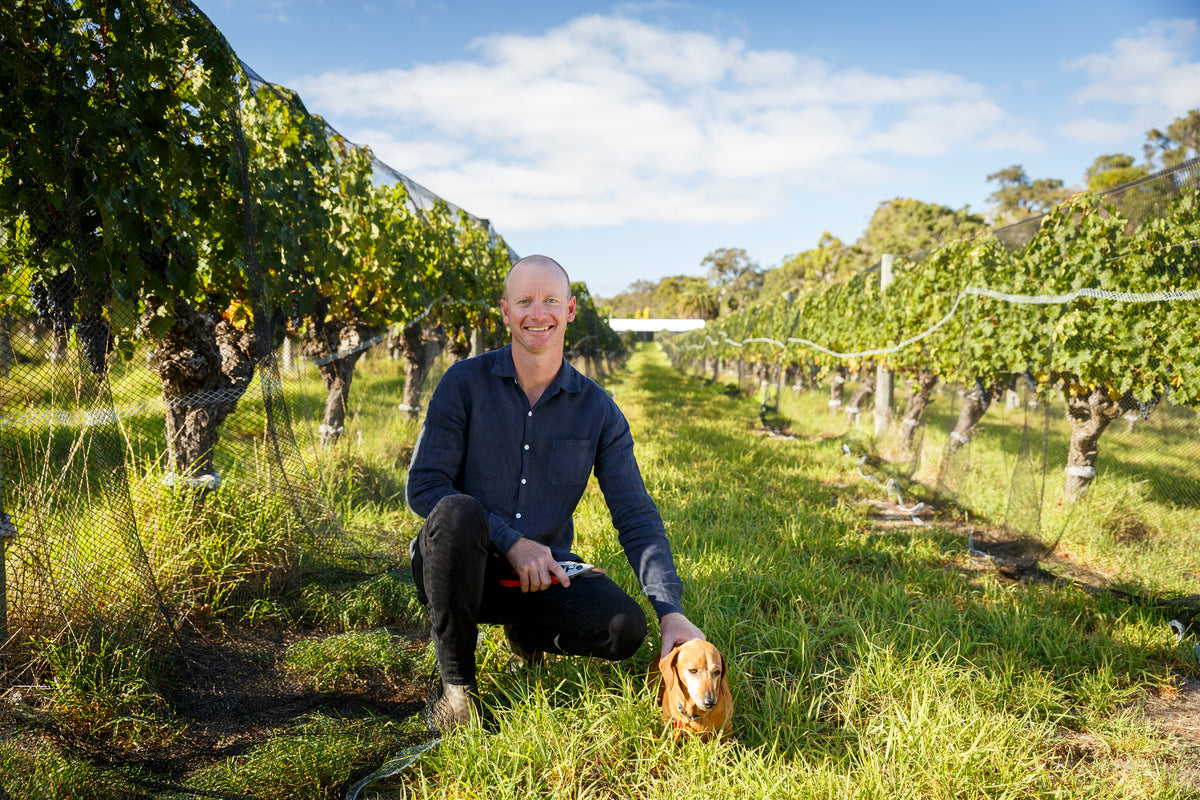 Young Gun Of Wine - Vineyard Of The Year | Gralyn Estate