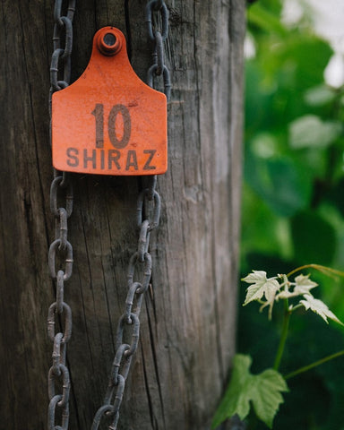 Best Shiraz In Margaret River - Gralyn Estate