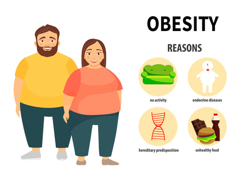 Obesity reasons