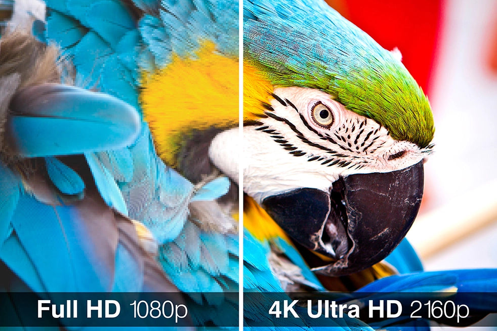 1080P portable monitor vs 4k