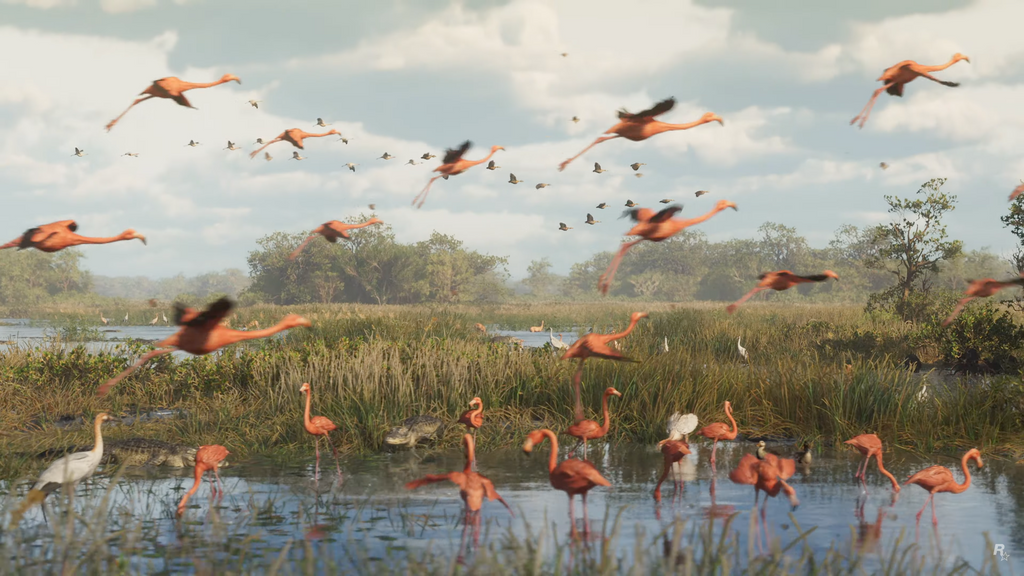 The flamingo takes flight