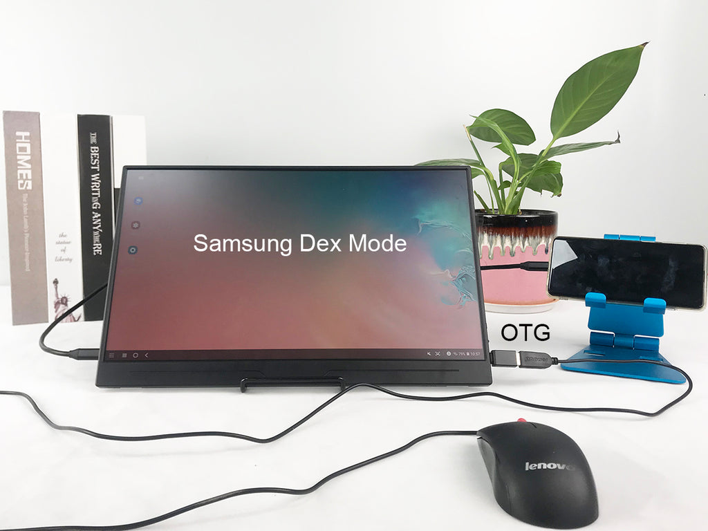 portable monitor with otg