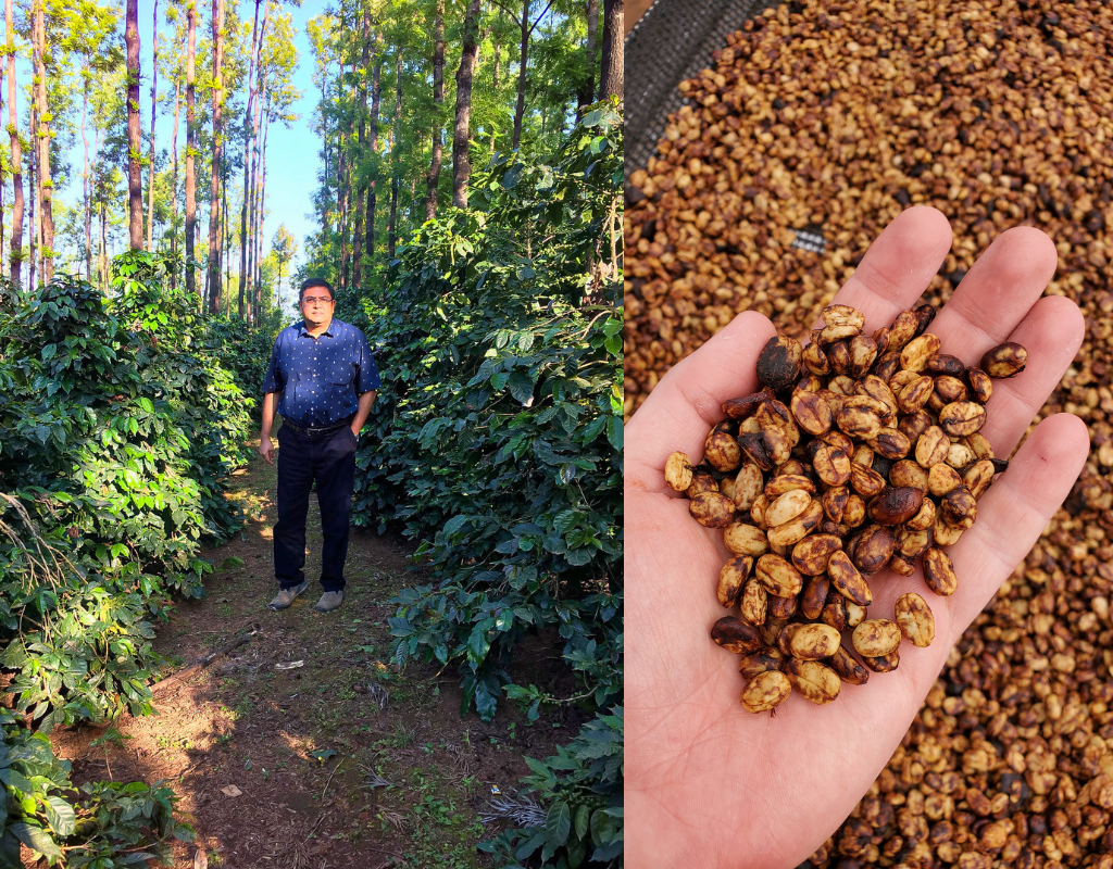 Ratnagiri estate Ashok Patre third generation coffee farmer