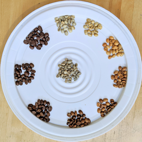 Coffee Roasting stages