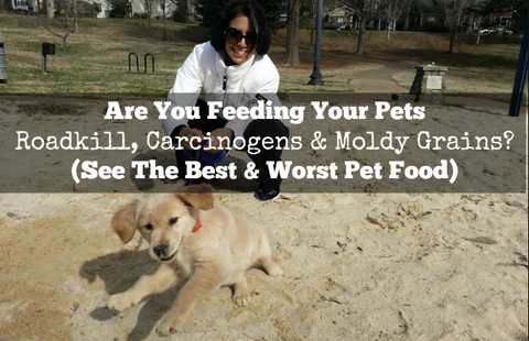 What Is A Healthy Diet For My Dog & The Deadly Secrets Of The Dog Food