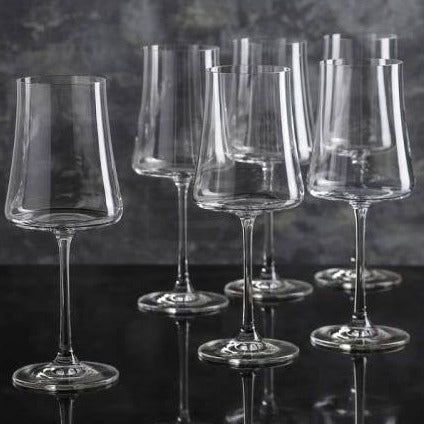  Home-X - Elegantes copas de cristal de plástico duro  irrompibles, Ideal para vino y champán