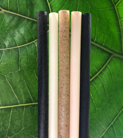 Avocado Seed Straws - Extra Strength 100% Biodegradable Straws - 1000  count, 8.26 unwrapped