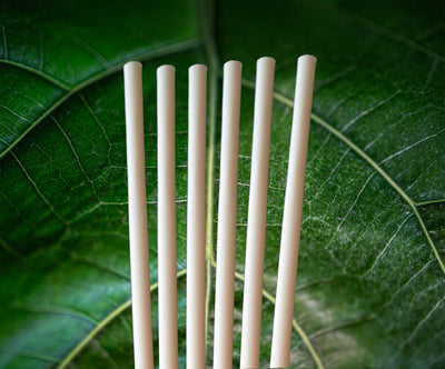 Avocado Seed Straws - Extra Strength 100% Biodegradable Straws - 1000  count, 8.26 unwrapped