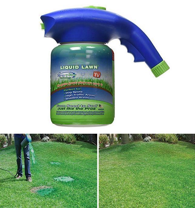 hydro grass seed