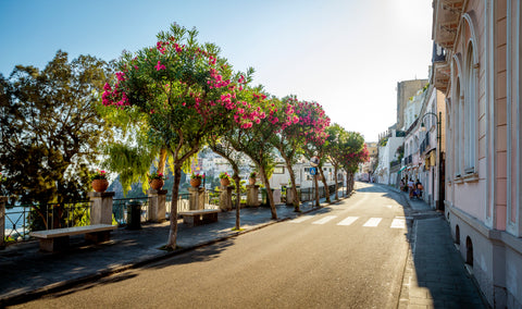 Piazza Umberto I is the most famous square of the island of Capri, Italy