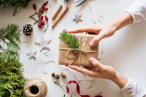 Nature Elements Gift Wrapping