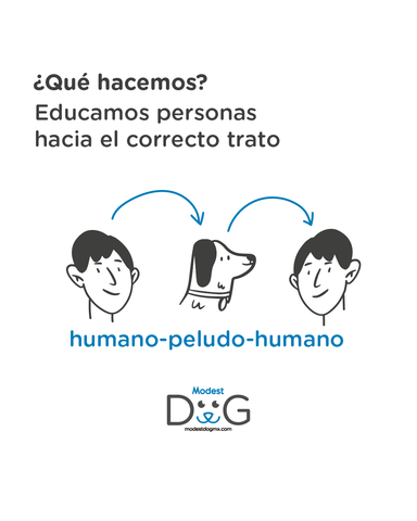 adestramiento-canino-gdl-cdmx-qro-mty-ver-pue-modest-dog-entrenador-de-perros-ciudad-de-mexico-monterrey-guadalajara-tlajomulco-de-zuñiga-queretaro-puebla-cholula-xalapa-veracruz-cesar-millan-perros