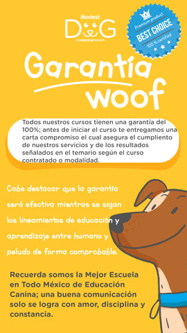 entrenador-de-perros-juriquilla-condesa-puebla-veracruz-cholula-xalapa-tlajomulco-de-zuñiga-modest-dog-adiestramiento-canino