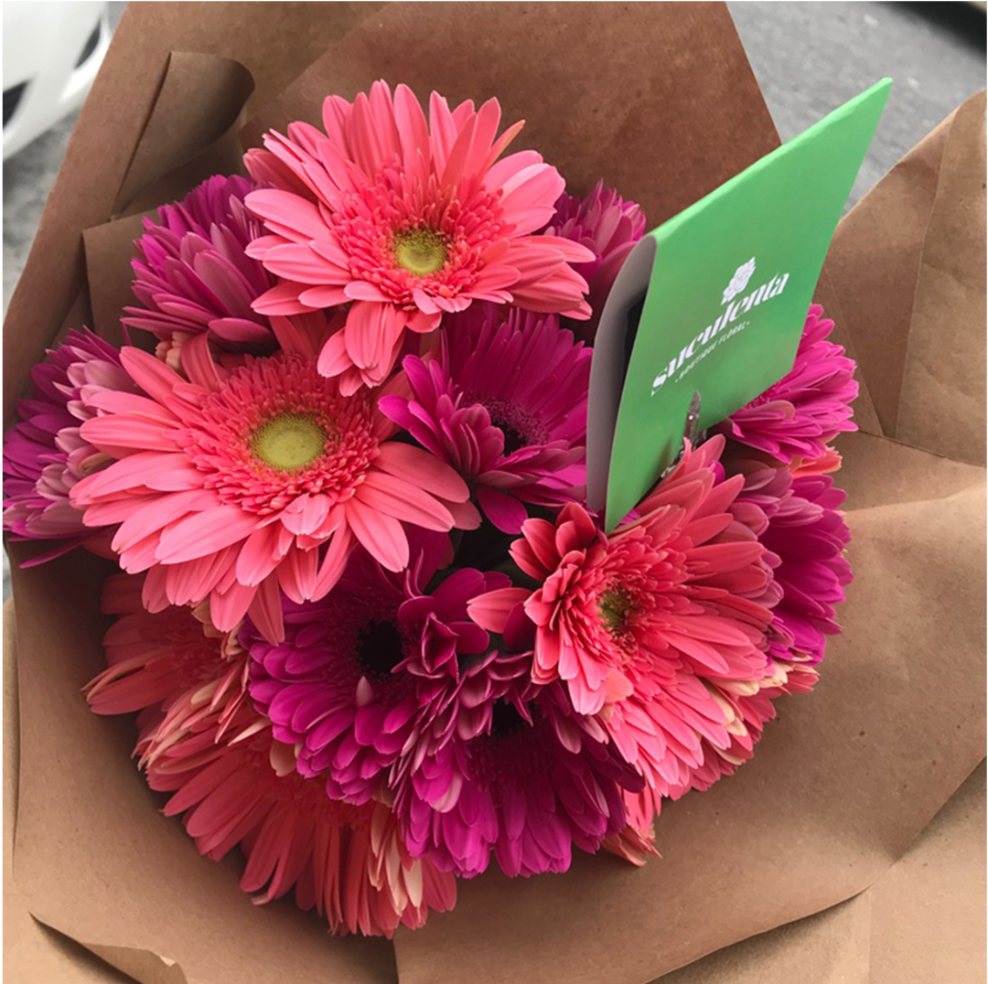 Ramo de 20 gerberas – Suculenta Boutique Floral