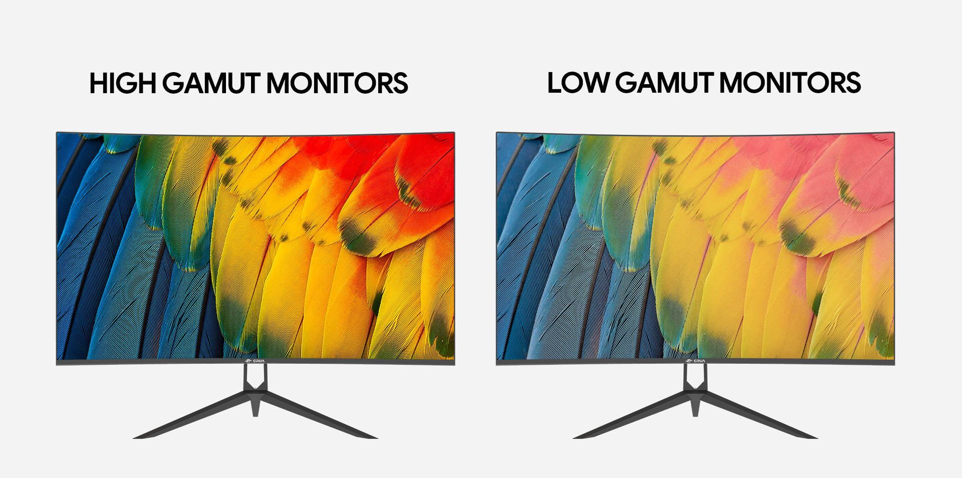 Monitor screen color comparison