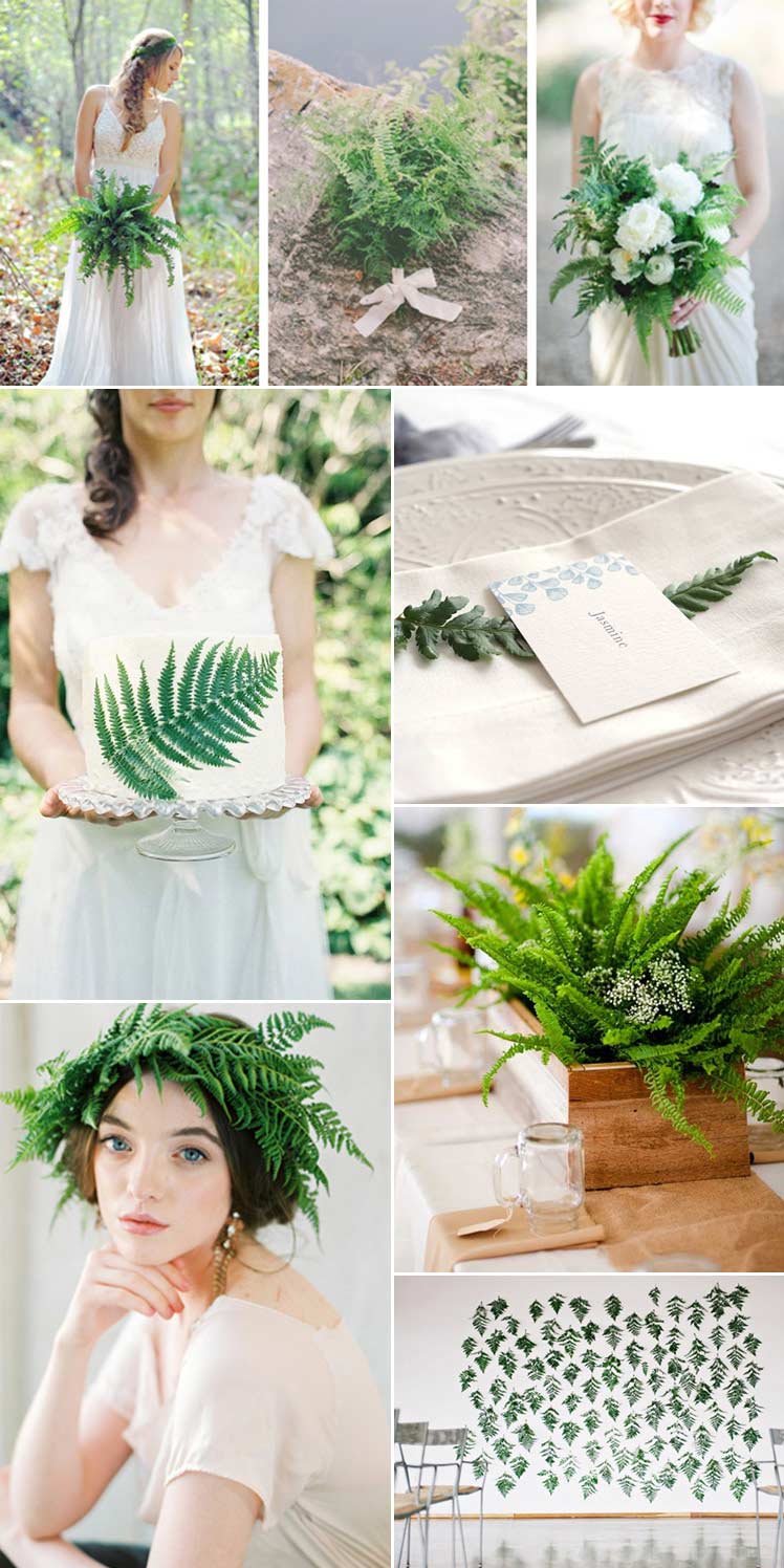 How to include ferns in your wedding day theme