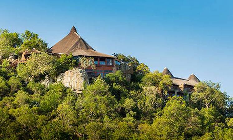 Destination wedding at Ulusaba Africa