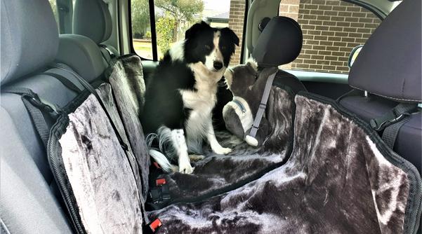 Calming dog car seat cover