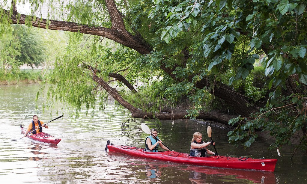 2 red kayakers paddling under a tree along the river 