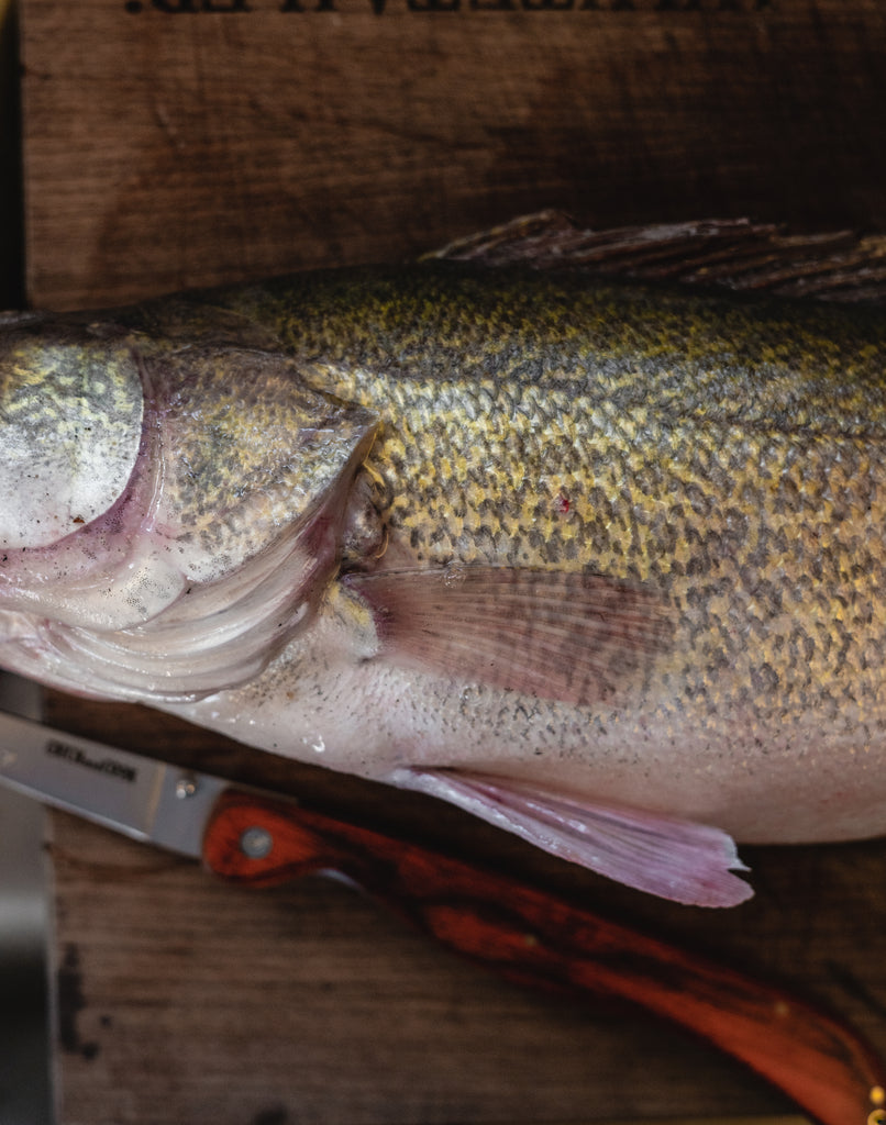 Walleye on cutting board