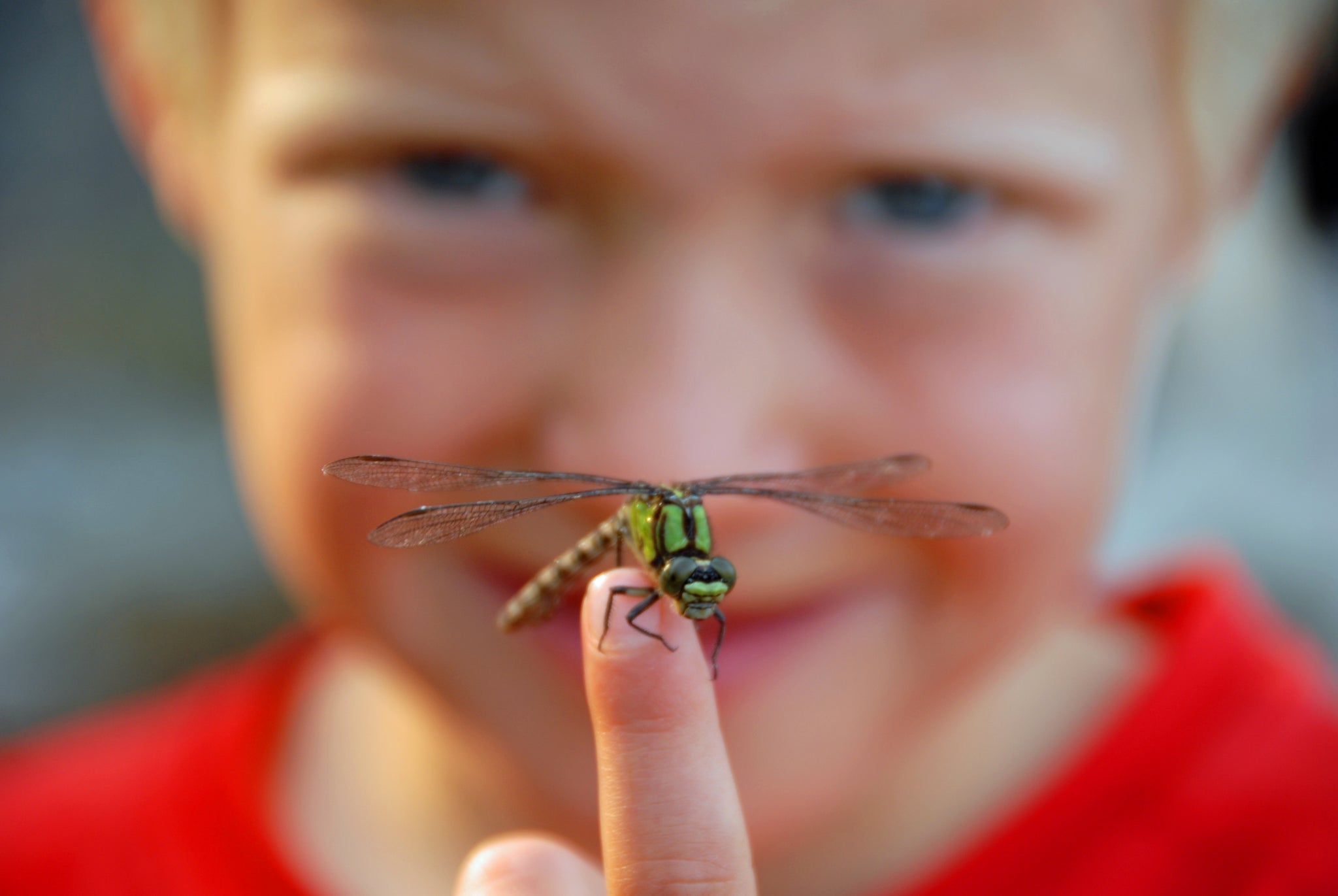little toddler smiling and holding out a finger with an insect on it