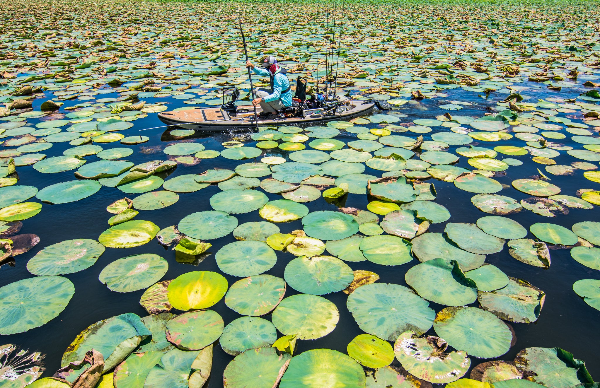 single person boat navigating around lily pads