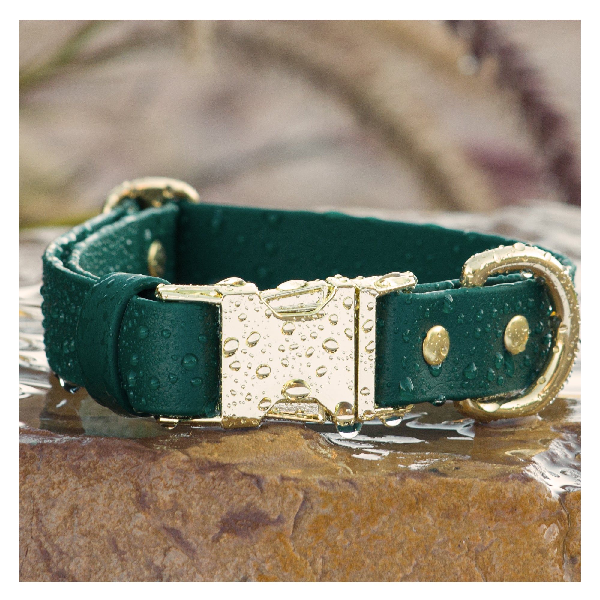 Two Tone Safari Leather Pet Collar