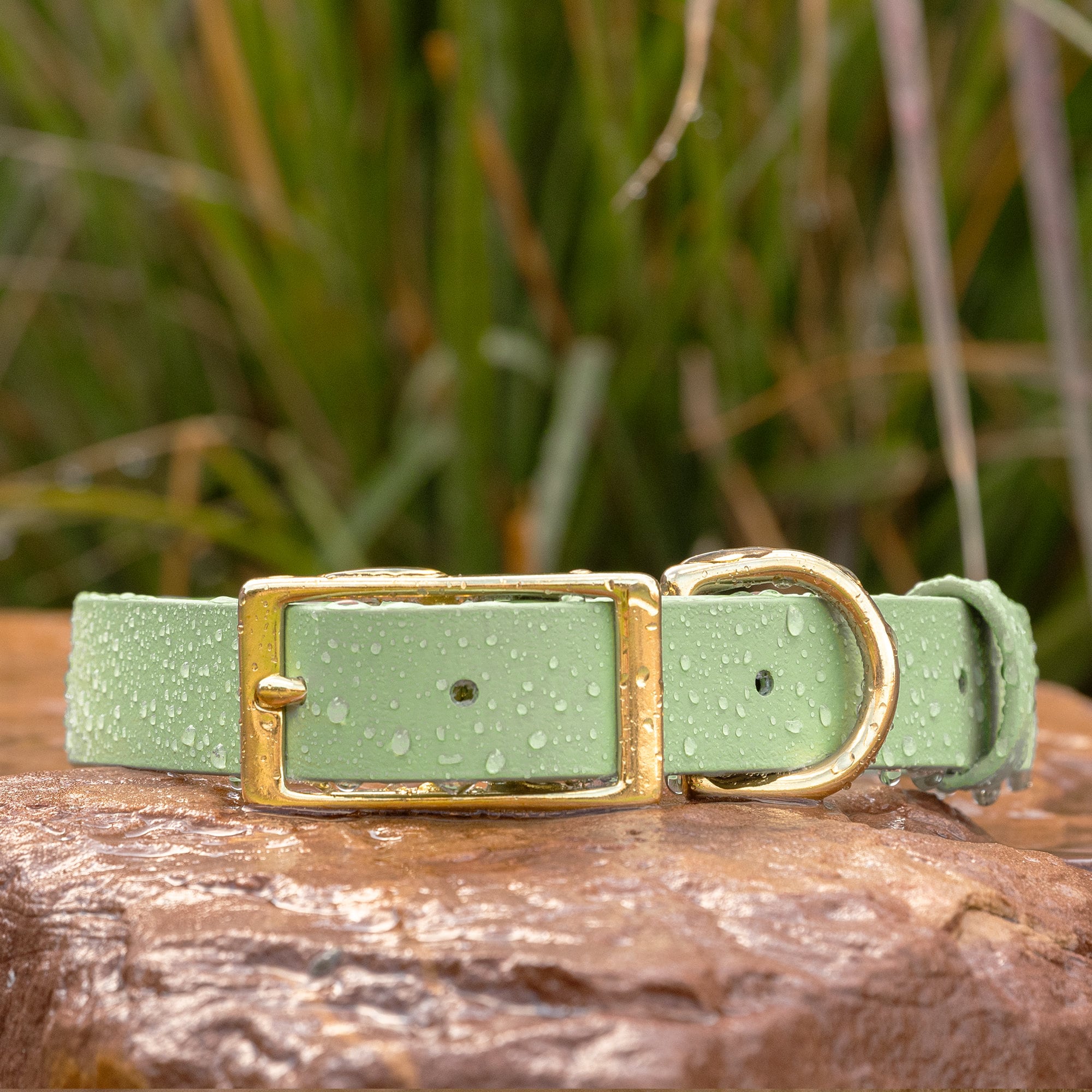 Biothane Waterproof Dog Leash - Sage Green Solid Brass